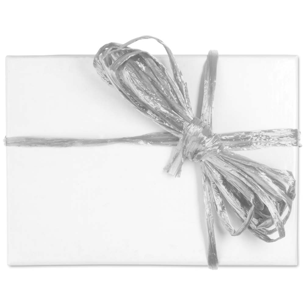 Silver on sale raffia ribbon