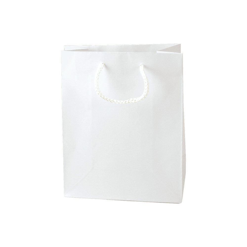 BABCOR Packaging: Purple Plastic Ameritote Shopping Bags w. Soft