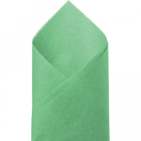 Apple Green SatinWrap Solid Color Tissue Paper - 20 x 30 - 480 Sheets per  Package