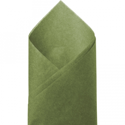 Green Tea SatinWrap Solid Color Tissue Paper - 20 x 30 - 480 Sheets per  Package